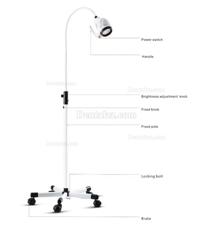 KWS 20W ENT LED Examination Light KD-202B-8